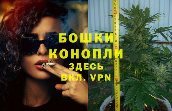 spice Мегион