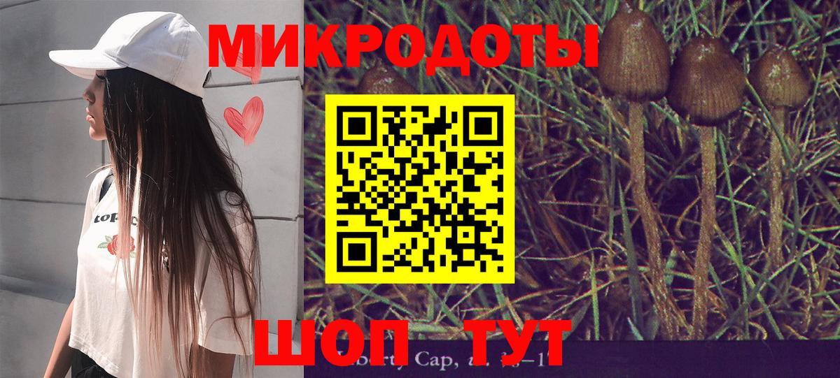 Урус-Мартан  Галлюциногенные грибы прущие грибы  Вход с VPN 