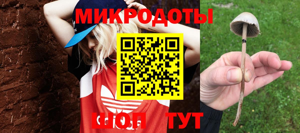 Галлюциногенные грибы Cubensis Урус-Мартан